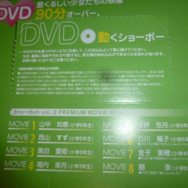 山中知恵、西山すず、黒田愛姫、石川楓子sho-bohショーボー vol2 dvd