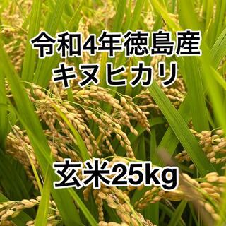 玄米25kg 令和4年 徳島産 キヌヒカリ(米/穀物)