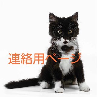 連絡用ページです。の通販 by Arisu&Cheshire cat|ラクマ