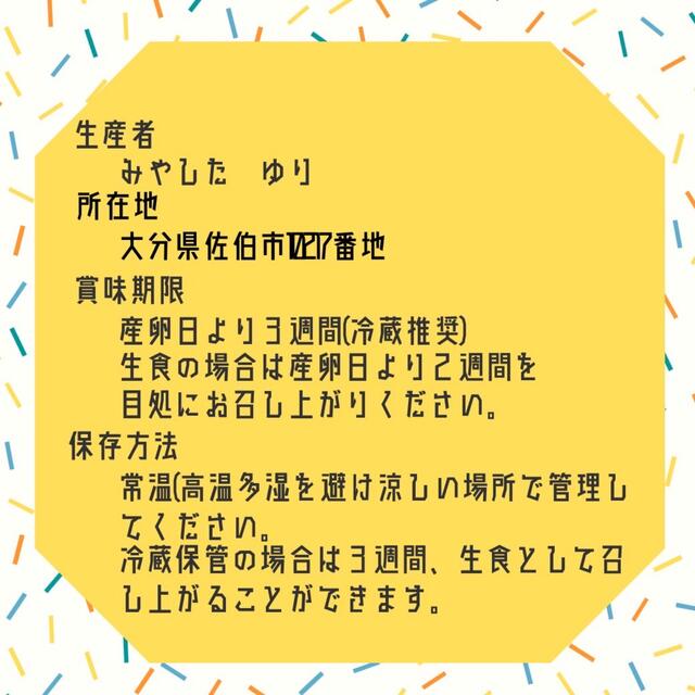 10個入り　宮下養鶏の朝採れ平飼い卵　大分県発 食品/飲料/酒の食品(その他)の商品写真