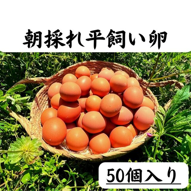 50個入り　宮下養鶏の朝採れ平飼い卵　大分県発 食品/飲料/酒の食品(その他)の商品写真