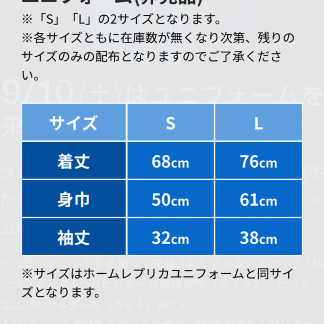 西武ライオンズ　ユニフォーム　記念グッズ　非売品　2点スポーツ