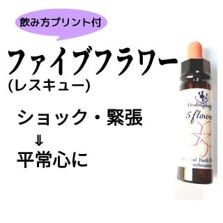 ニールズヤード(NEAL'S YARD)の39.レスキューファイブフラワー・レスキュー《10ml》フラワーエッセンス(その他)