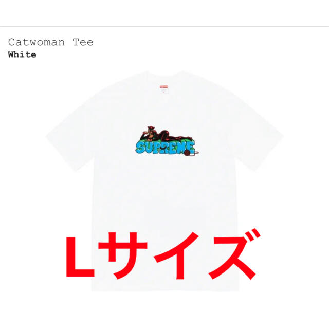 Supreme Catwoman Tee Lサイズ 22FW