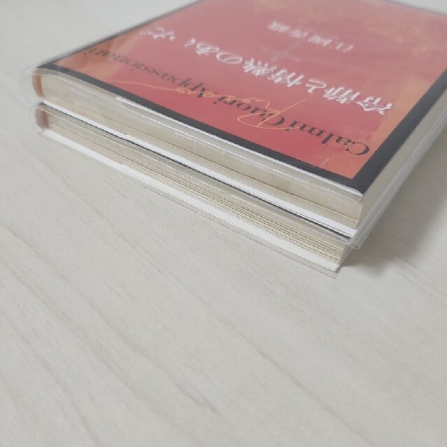 冷静と情熱のあいだ Rosso Blu 2冊セット エンタメ/ホビーの本(文学/小説)の商品写真
