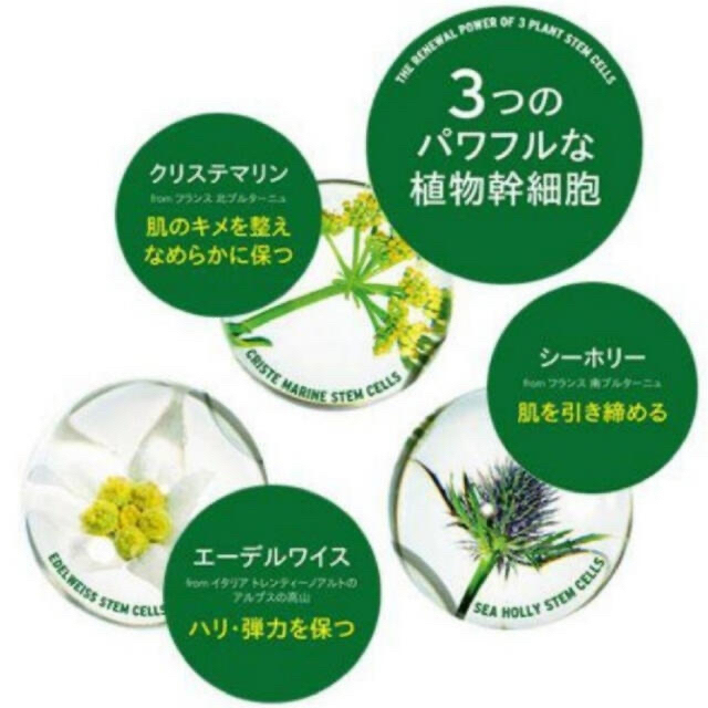 THE BODY SHOP(ザボディショップ)の【値下】ユースコンセントレート美容液DOY 植物幹細胞　30ml箱付き未開封 コスメ/美容のスキンケア/基礎化粧品(美容液)の商品写真