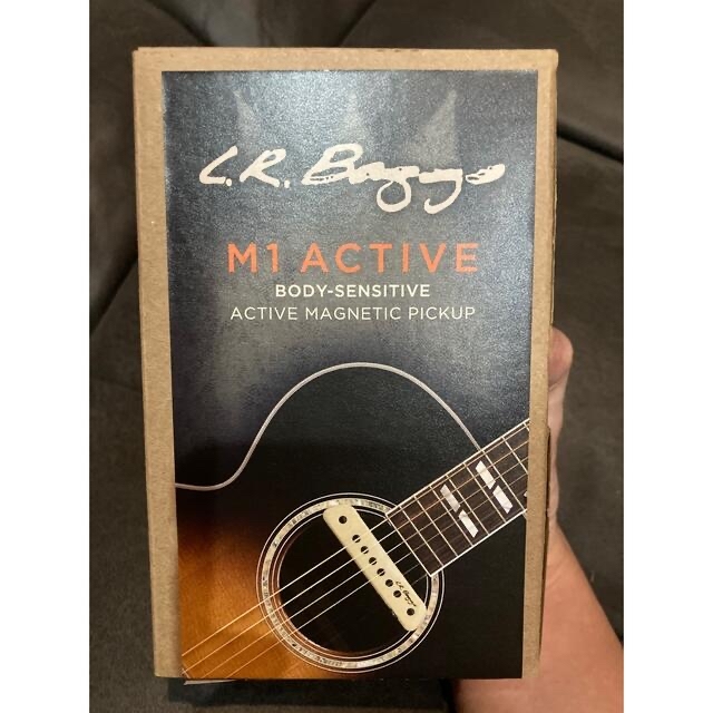 送料込・まとめ買い 値引き L.R.Baggs M1 active ピックアップ