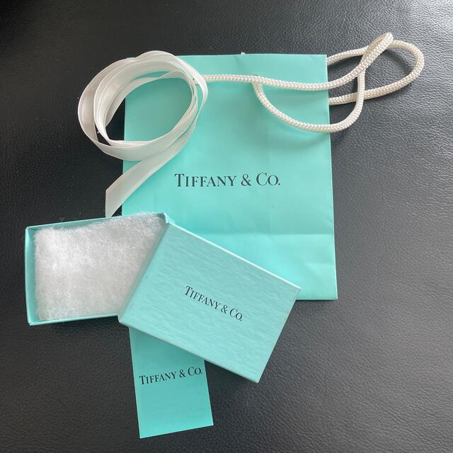 Tiffany & Co.(ティファニー)のTIFFANY&Co. ティファニー　アクセサリーケース　 レディースのバッグ(ショップ袋)の商品写真