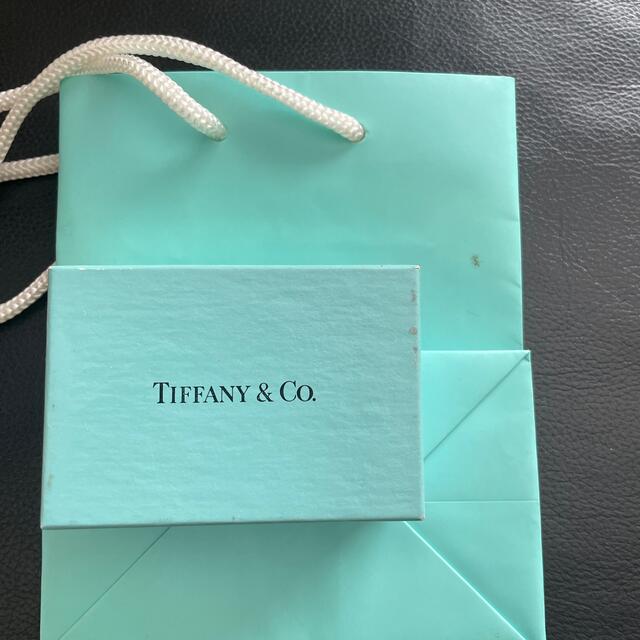 Tiffany & Co.(ティファニー)のTIFFANY&Co. ティファニー　アクセサリーケース　 レディースのバッグ(ショップ袋)の商品写真