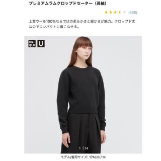 ユニクロ(UNIQLO)のユニクロユー　プレミアムラムクルーネックセーター(ニット/セーター)