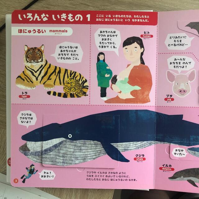 小学館(ショウガクカン)のいきもの　まどあけずかん エンタメ/ホビーの本(絵本/児童書)の商品写真