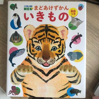 ショウガクカン(小学館)のいきもの　まどあけずかん(絵本/児童書)