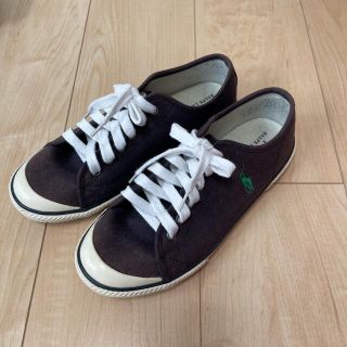 ポロラルフローレン(POLO RALPH LAUREN)のポロラルフローレン 24.5cm(スニーカー)