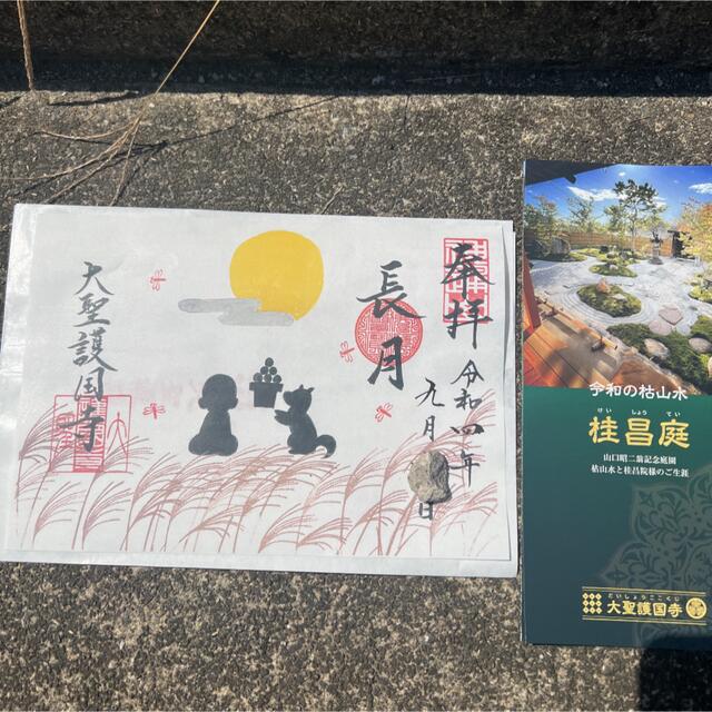 大聖護国寺　限定　御朱印　お月見 エンタメ/ホビーのコレクション(印刷物)の商品写真