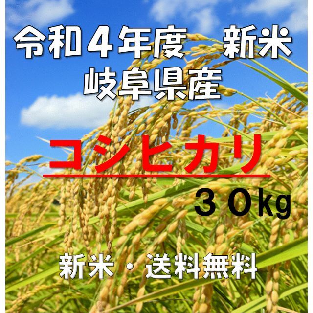 新米　コシヒカリ　玄米　送料無料　令和4年度　米/穀物　岐阜県産　30kg