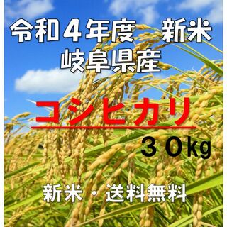 新米　令和4年度　岐阜県産　コシヒカリ　玄米　30kg　送料無料(米/穀物)