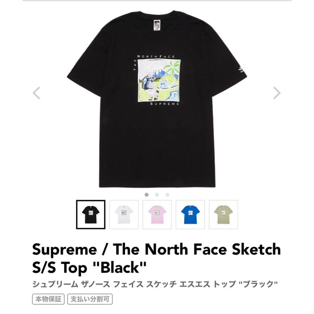 Supreme(シュプリーム)のSupreme / The North Face Sketch S/S Top  メンズのトップス(Tシャツ/カットソー(半袖/袖なし))の商品写真