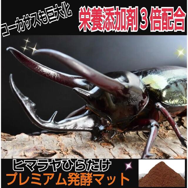 20Lケース付☆プレミアム発酵マット☆幼虫を入れるだけ！大型カブトムシ羽化できる