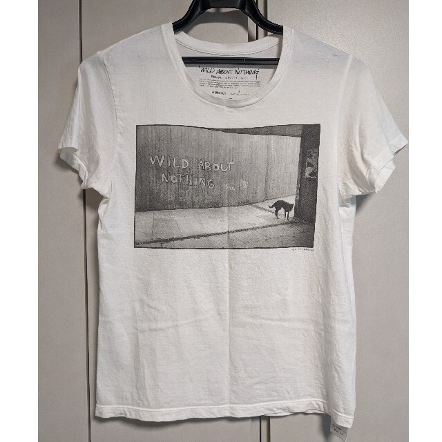 【良好品】 universe) Tシャツナノ・ユニバース(レディース)(nano シャツ 【良好品】 universe) Tシャツナノ・ユニバース(レディース)(nano シャツ