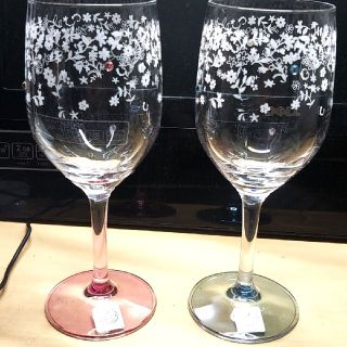 スワロフスキー(SWAROVSKI)のスワロフスキーワイングラス(グラス/カップ)