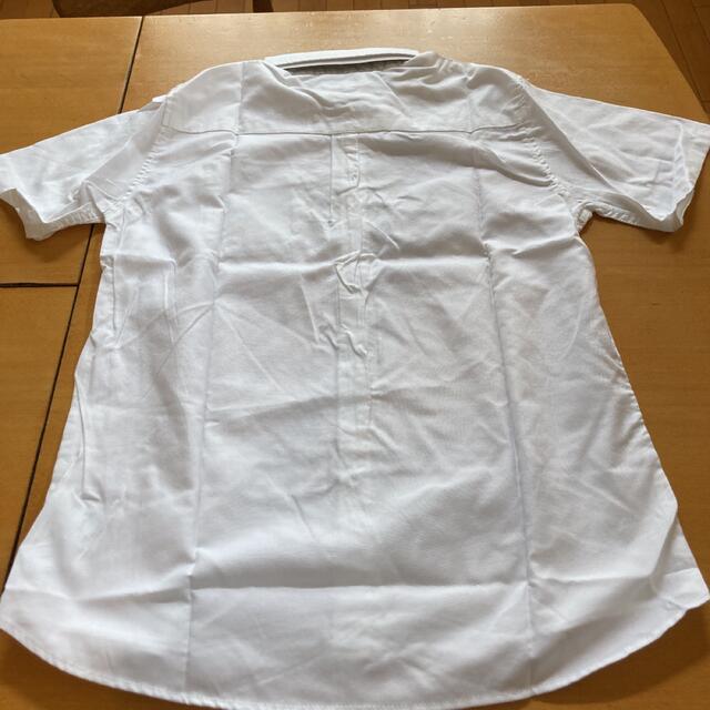 半袖白シャツ　POLO キッズ/ベビー/マタニティのキッズ服男の子用(90cm~)(ブラウス)の商品写真