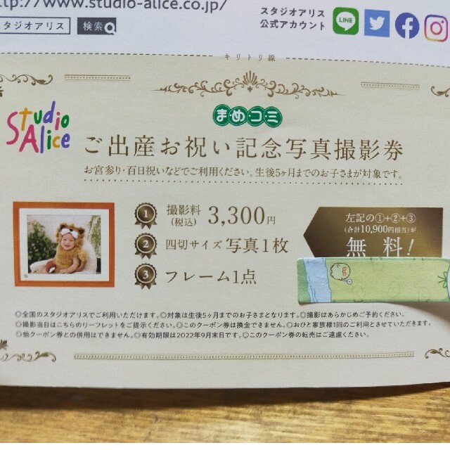 スタジオアリスご出産祝い記念写真撮影券の通販 by なまけもの's shop
