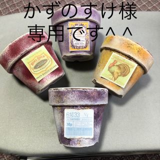 多肉植物リメイク缶鉢寄せ植えにどうぞ^ ^かずのすけ様専用です^ ^(その他)