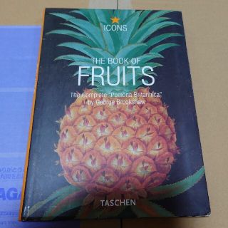 ICONS  THE BOOK OF FRUITS　洋書(洋書)