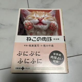 ねこの肉球完全版(その他)