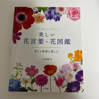 美しい花言葉・花図鑑 彩りと物語を楽しむ(趣味/スポーツ/実用)