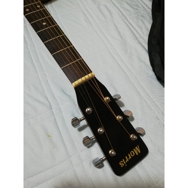 Morris モーリス アコースティックギター MD501 ケース付 初心者最適 楽器のギター(アコースティックギター)の商品写真