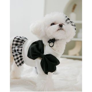 犬服　モノトーンワンピ　帽子・デカリボン付　Ｍ　新品　可愛い服　匿名配送(犬)