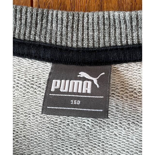 PUMA(プーマ)のプーマ  150  トレーナー  キッズ/ベビー/マタニティのキッズ服男の子用(90cm~)(Tシャツ/カットソー)の商品写真