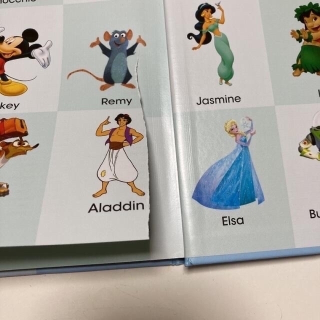 My Big Book of Words マイビックブックオブワーズ My Big Book of Words マイビックブックオブワーズ