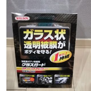 ウィルソン　グラスガード(メンテナンス用品)