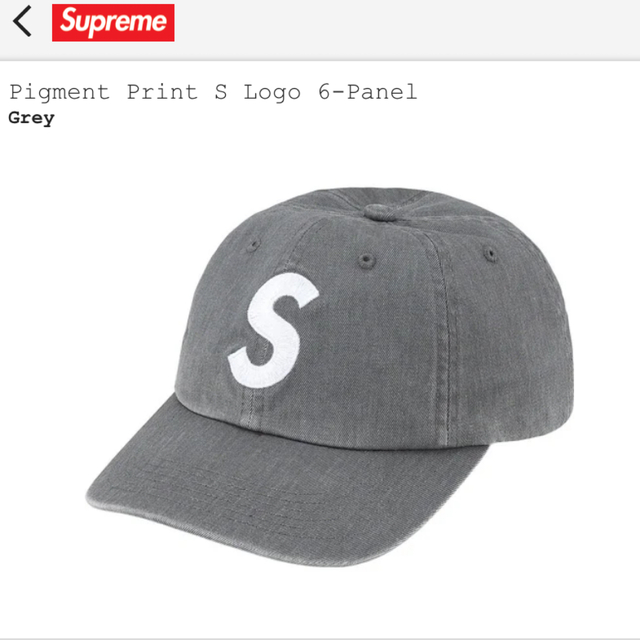 Pigment Print S Logo 6-Panel grey帽子