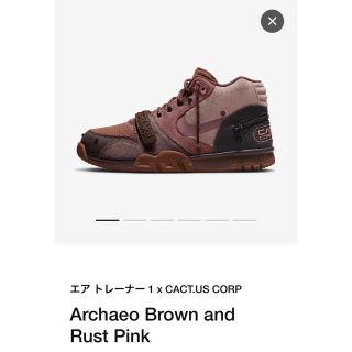 ナイキ(NIKE)のTravis Scott x Nike Air Trainer 1 Brown(スニーカー)