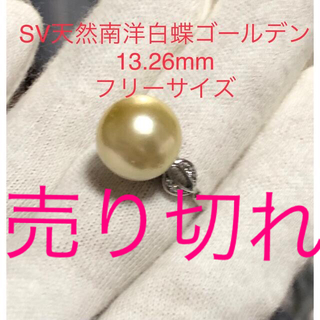 SV天然南洋白蝶ゴールデン真珠リング　13.26mm(リング(指輪))
