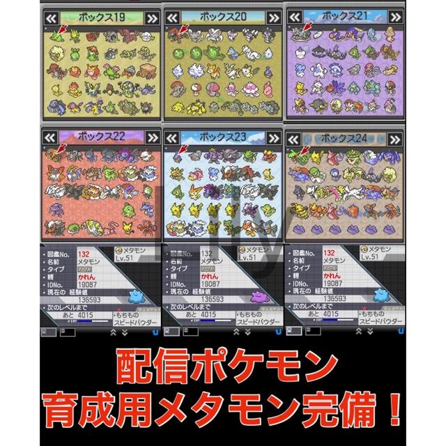 何でも揃う ウルトラサン ケースなし 各種配信 理想メタモン 道具完備