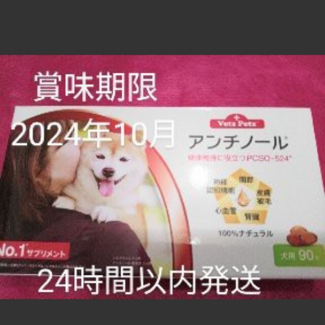 アンチノール　90粒犬用