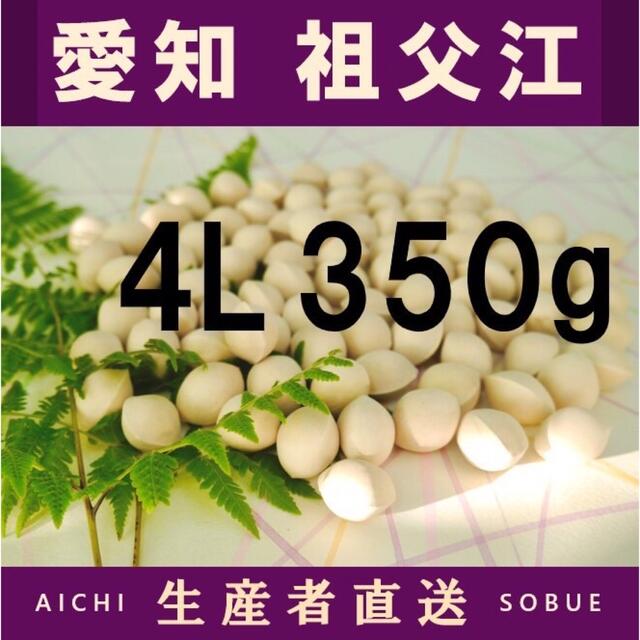 おためし品 2022年新物　生産者直送 久寿 銀杏 祖父江産 4L 350g 食品/飲料/酒の食品(野菜)の商品写真