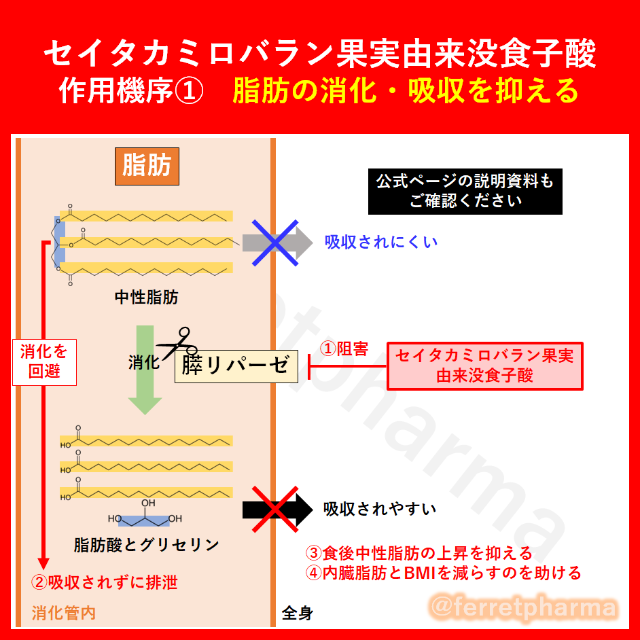 【残りわずか】DUEN 糖脂セーブ 60粒 30日分 1袋 コスメ/美容のダイエット(ダイエット食品)の商品写真