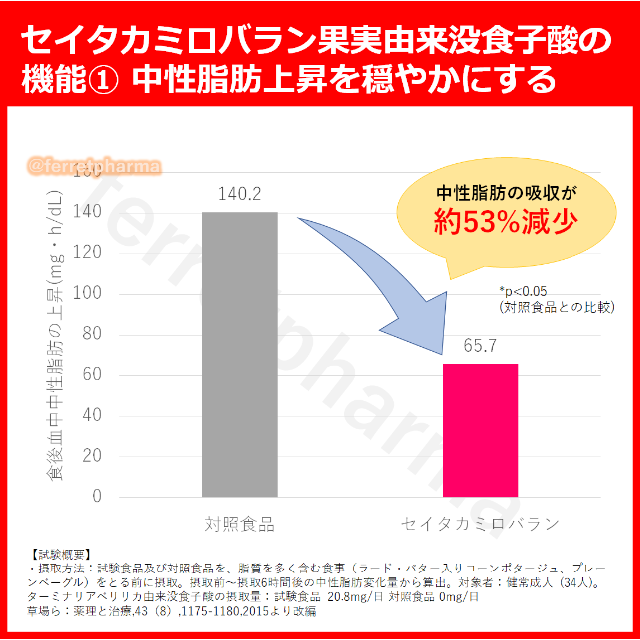 【残りわずか】DUEN 糖脂セーブ 60粒 30日分 1袋 コスメ/美容のダイエット(ダイエット食品)の商品写真