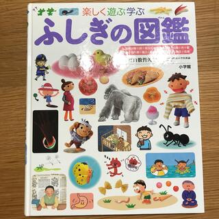 ショウガクカン(小学館)のふしぎの図鑑　プレNEO(絵本/児童書)