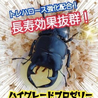 特選ハイグレードプロゼリー100個　産卵促進・長寿に抜群！食べやすいワイドカップ(虫類)