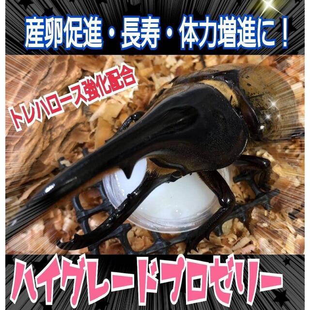 特選ハイグレードプロゼリー50個　産卵促進・長寿に抜群！食べやすいワイドカップ その他のペット用品(虫類)の商品写真