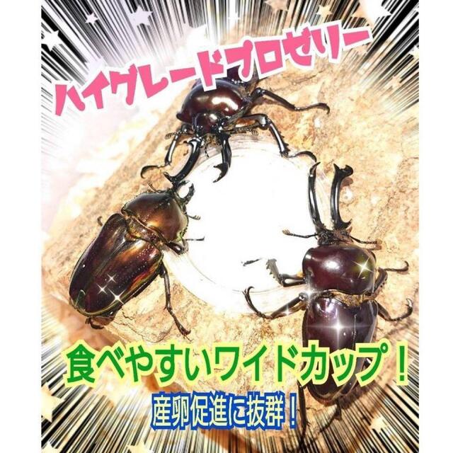 特選ハイグレードプロゼリー50個　産卵促進・長寿に抜群！食べやすいワイドカップ その他のペット用品(虫類)の商品写真