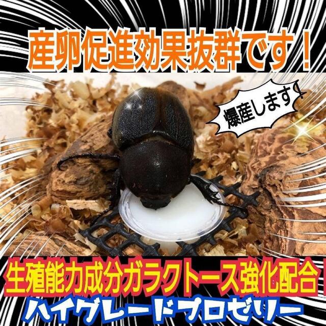 特選ハイグレードプロゼリー50個　産卵促進・長寿に抜群！食べやすいワイドカップ その他のペット用品(虫類)の商品写真