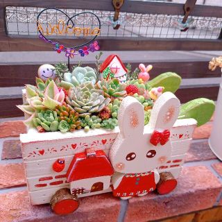 その他❤多肉植物の寄せ植え❤うさぎちゃん手押し車~♡ - www.dibrass.com