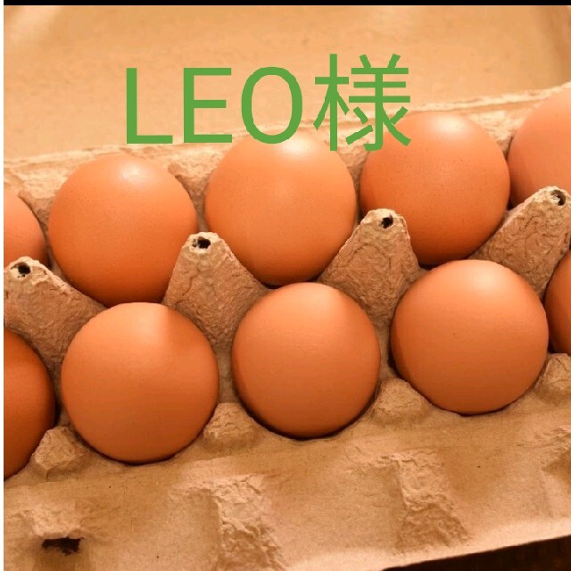 LEO様専用　平飼いたまご50個 食品/飲料/酒の食品(野菜)の商品写真